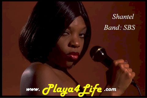 Playa4Life:  Urban Wear, Hip Hop Clothing, Ghetto Fabulous
